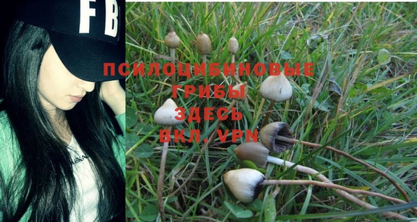 винт Алексеевка