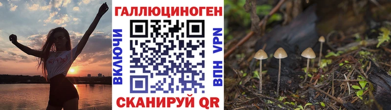 Псилоцибиновые грибы Cubensis  сколько стоит  мега зеркало  Николаевск-на-Амуре 