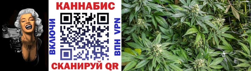 MEGA вход  Николаевск-на-Амуре  Бошки марихуана семена 